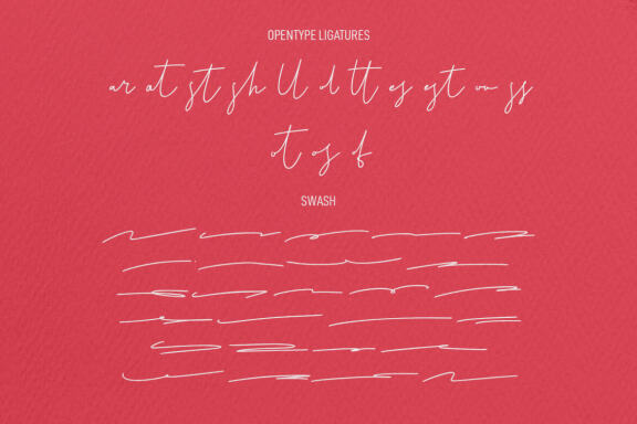Christie Dianna FREE Font