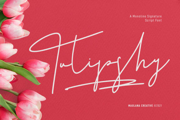 Christie Dianna FREE Font