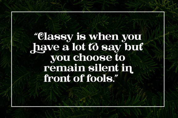 Bastine - Modern Classy Serif Font