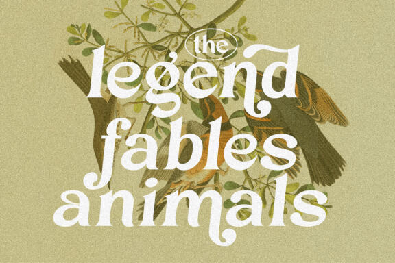 VT Chiffone - Retro Serif