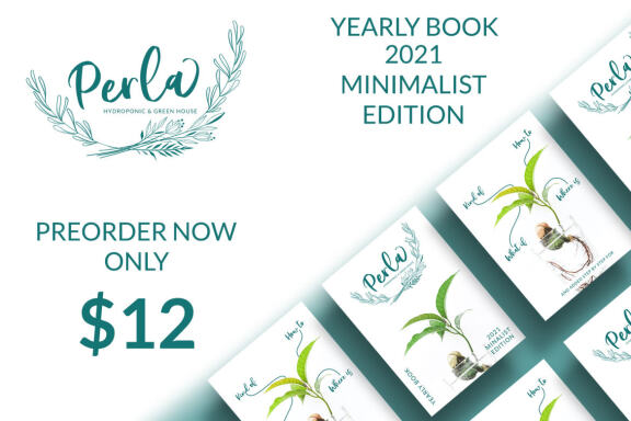 Balistha - Handwritten Brush Script Font