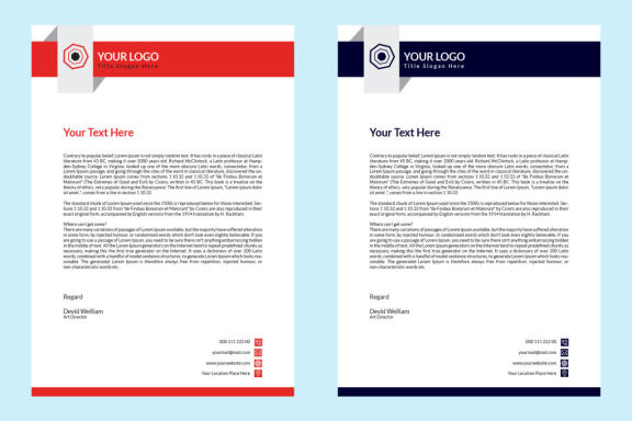 Modern Business Letterhead Template