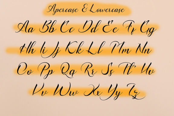 Carlotte FREE Script