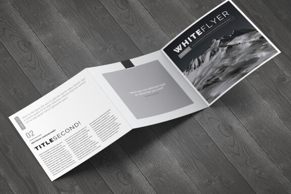 White Flyer Square Brochure