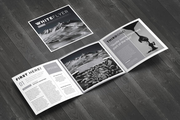 White Flyer Square Brochure