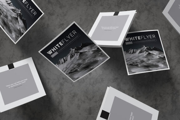 White Flyer Square Brochure