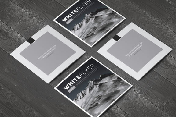 White Flyer Square Brochure