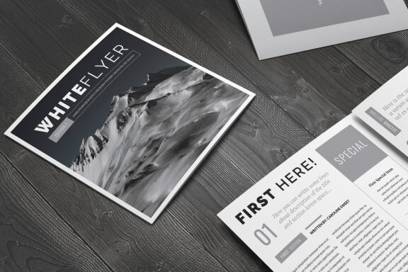 White Flyer Square Brochure