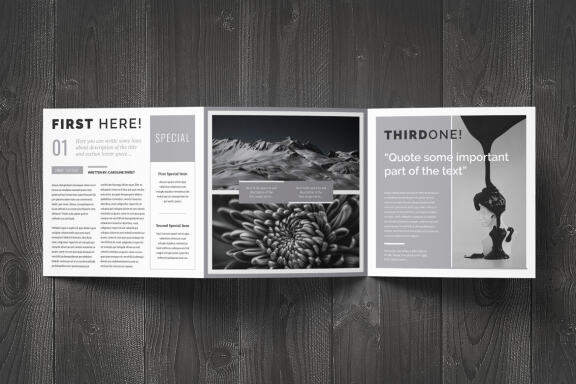 White Flyer Square Brochure