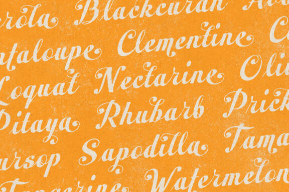 Peacher - Vintage Script Font