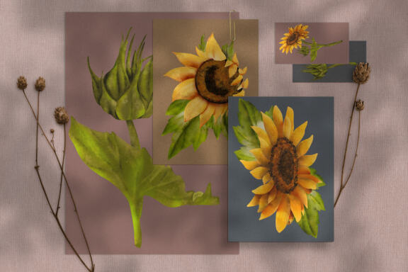 Sunflower, yellow flowers clipart