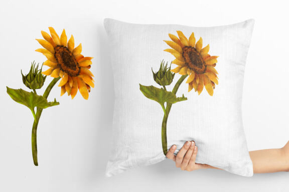 Sunflower, yellow flowers clipart