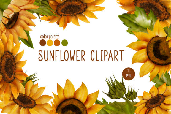 Sunflower, yellow flowers clipart
