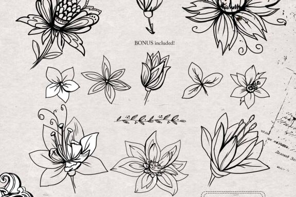 Floral Vector Lab