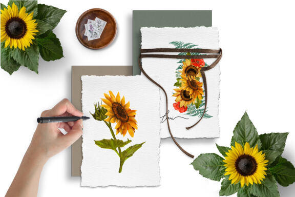 Sunflower, poppy and cornflower bouquets clipart