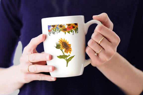 Sunflower, poppy and cornflower bouquets clipart