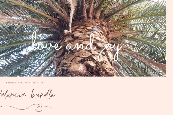 Amado Bundle - 11 Products in 1