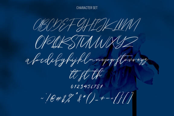 Owlishly Signature FREE Script