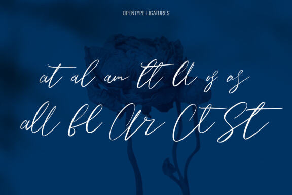Owlishly Signature FREE Script