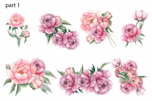 Watercolor Pink Peonies border Clipart