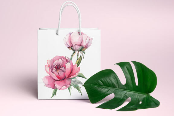 Watercolor Pink Peonies border Clipart