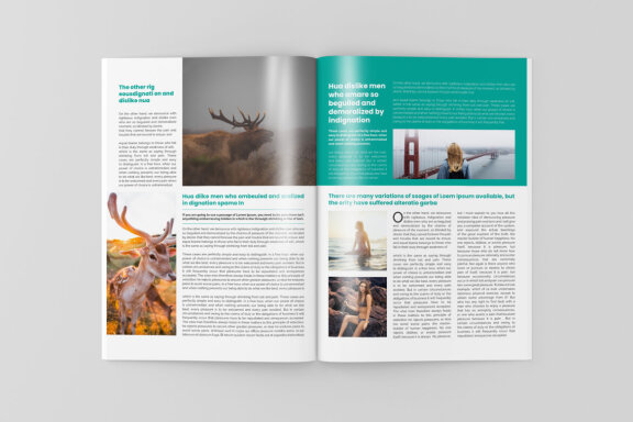Multipurpose Newsletter