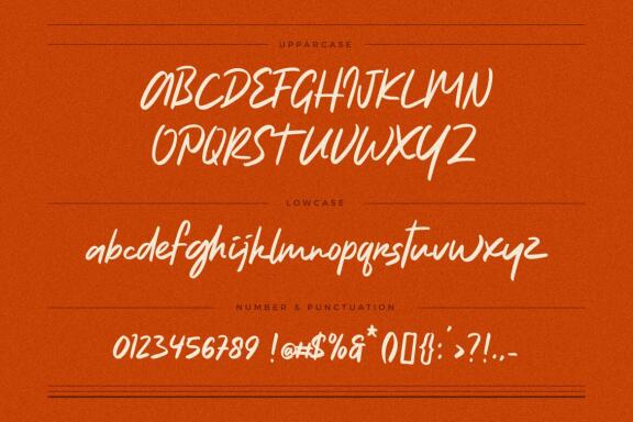 Natureal Script - Elegant Font