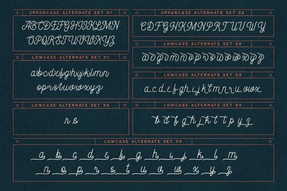 Constaline - Monoline Script & Sans