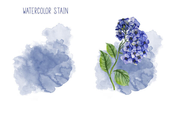 Watercolor Hydrangea Flowers Clipart. Blue hydrangea