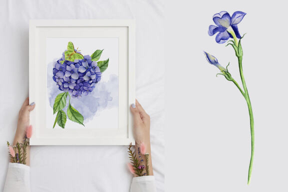Watercolor Hydrangea Flowers Clipart. Blue hydrangea