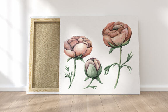 Ranunculus floral watercolor clipart