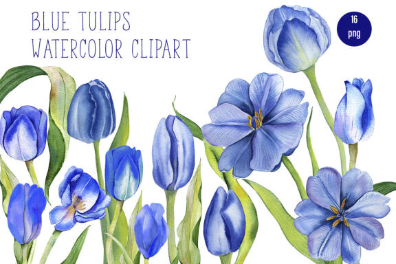 Watercolor Tulips Clipart. Botanical clipart