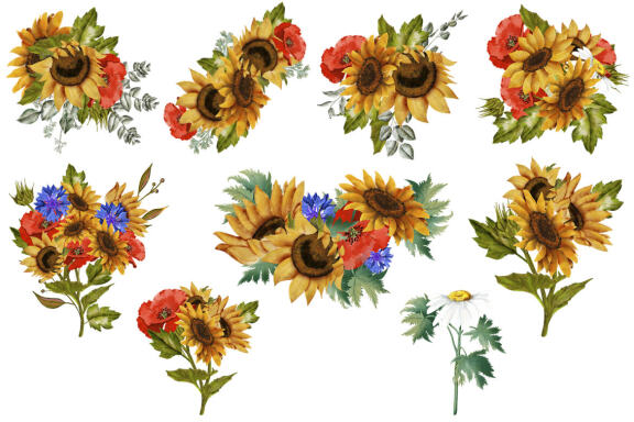 Sunflower Watercolor Clipart. Summer.  Boho flower
