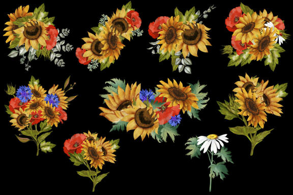 Sunflower Watercolor Clipart. Summer.  Boho flower