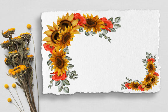 Sunflower Watercolor Clipart. Summer.  Boho flower