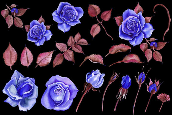Watercolor Flowers Clipart Blue Roses