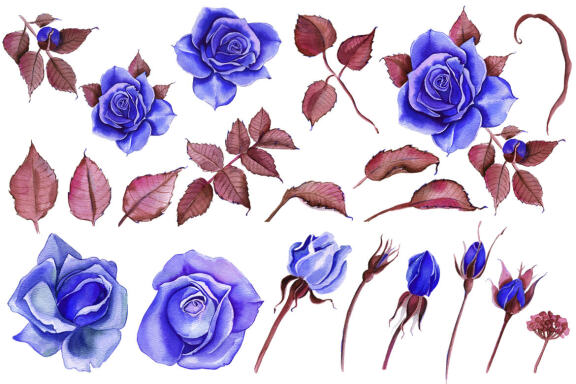 Watercolor Flowers Clipart Blue Roses