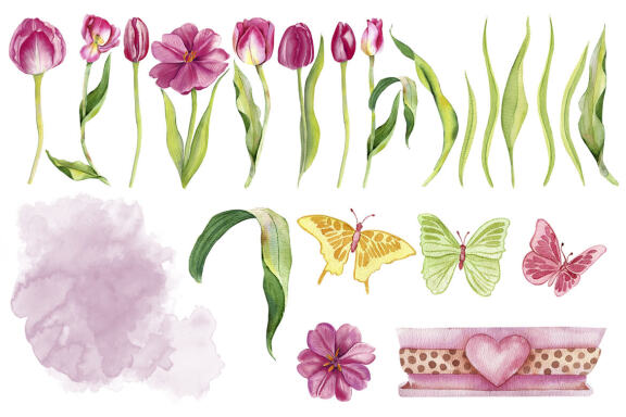 Watercolor pink Tulips Clipart. Botanical clipart