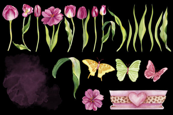Watercolor pink Tulips Clipart. Botanical clipart