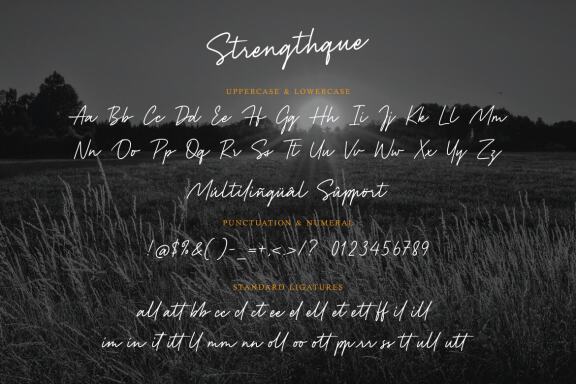 Strenghtque