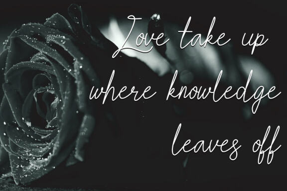Love Aster FREE Script