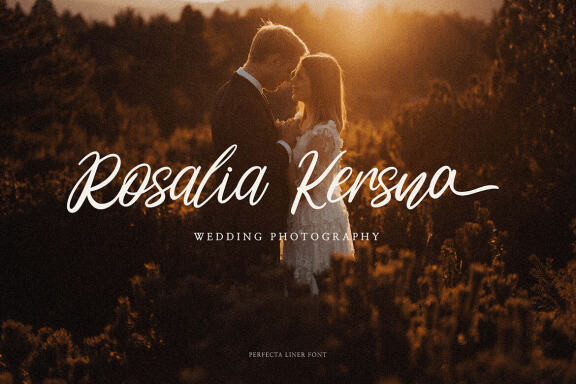 Perfecta Liner - Handwritten Script