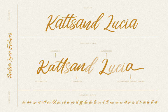Perfecta Liner - Handwritten Script