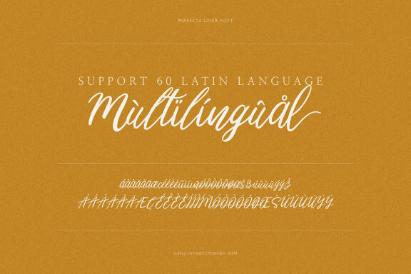 Perfecta Liner - Handwritten Script