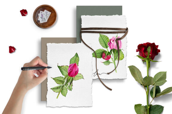 Watercolor Pink roses Flower Clipart