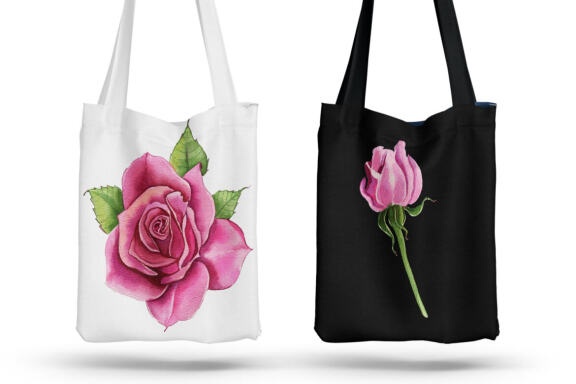 Watercolor Pink roses Flower Clipart