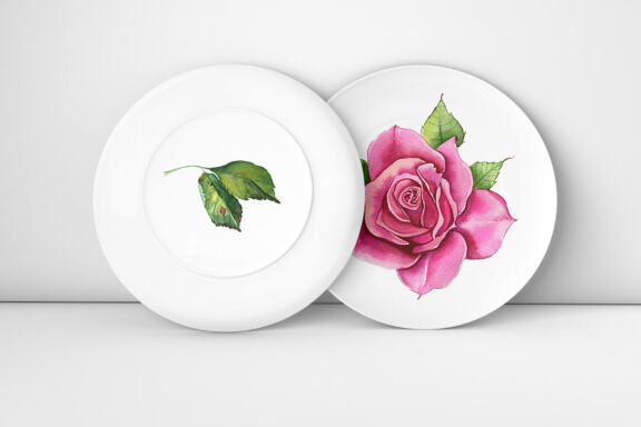 Watercolor Pink roses Flower Clipart