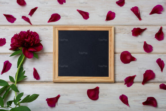 Black square chalkboard frame mockup with burgundy peony and petals.