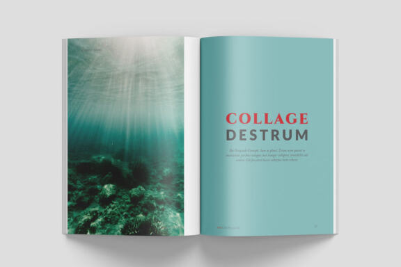 A5 Wildlife Magazine