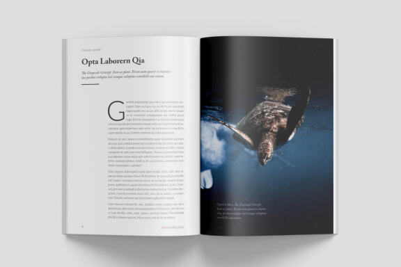 A5 Wildlife Magazine